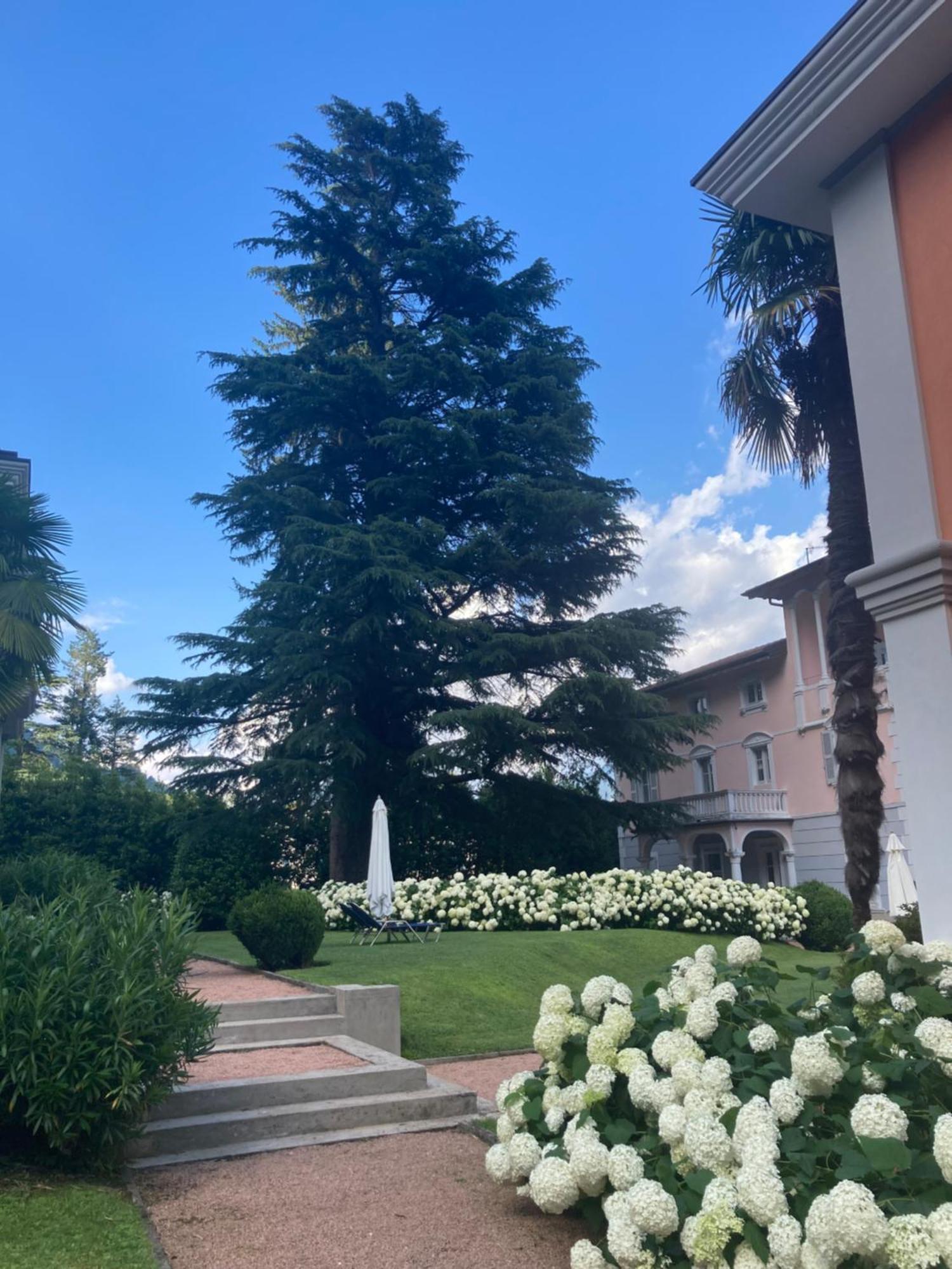 Ville Lago Lugano Porto Ceresio Buitenkant foto